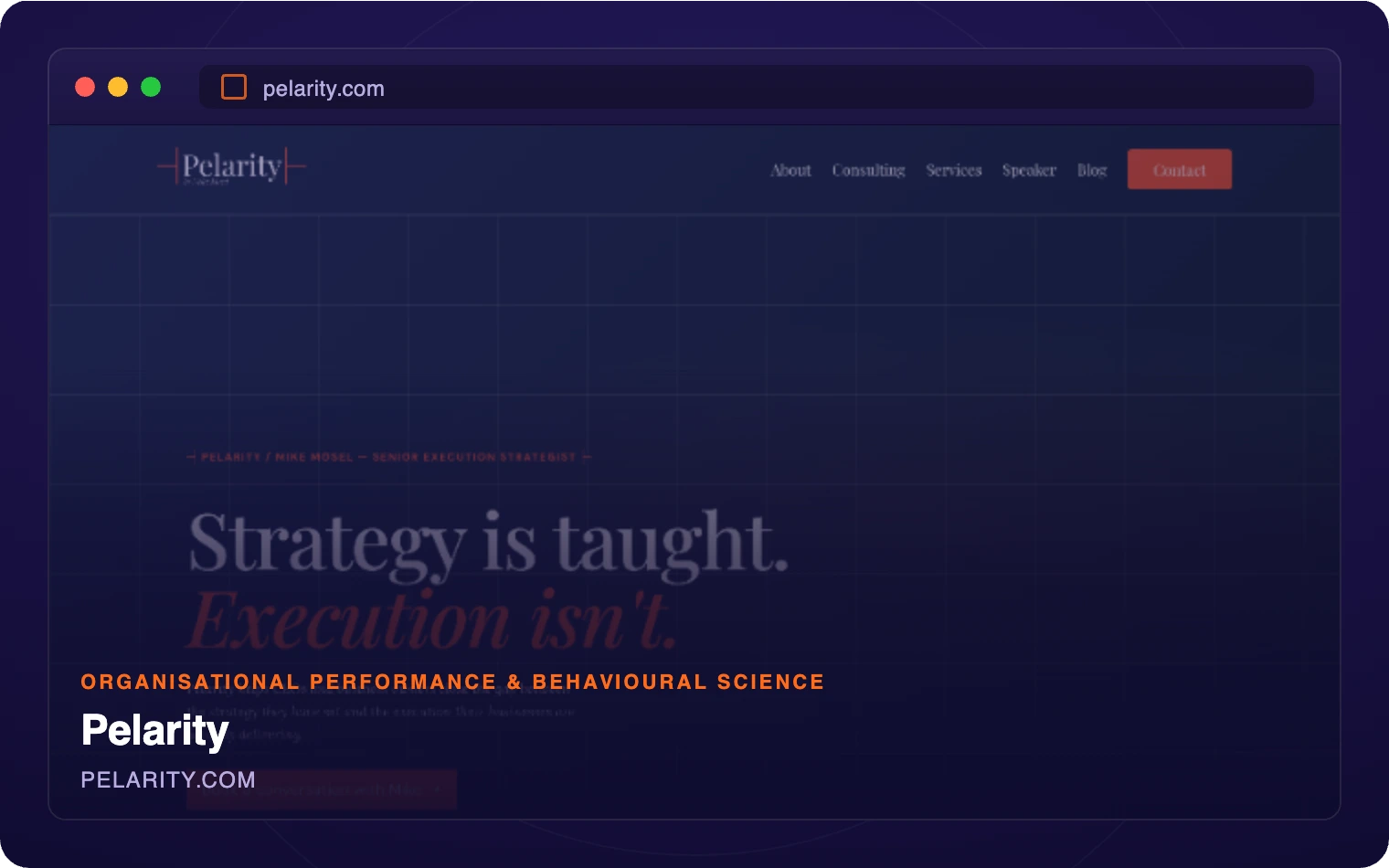 Pelarity website homepage
